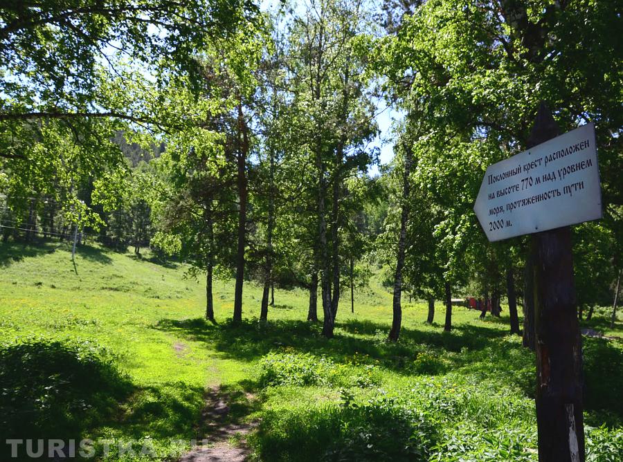 Начало восхождения после села Турбаза Катунь