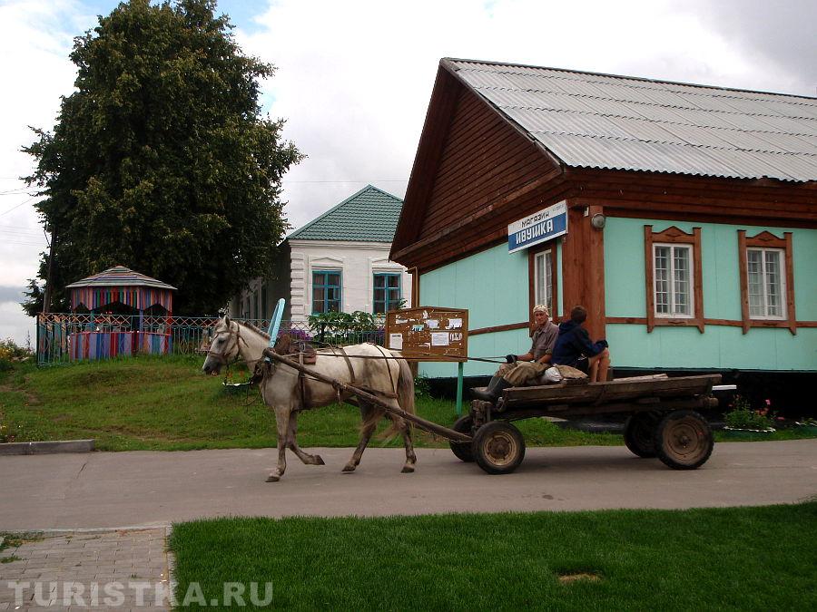 Сельская жизнь
