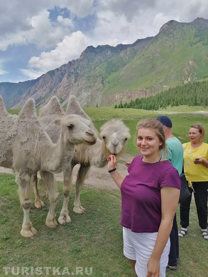 2. "Эй, пацаны, скажите: "Сыыыыырр."" Окрестности Гейзерового озера