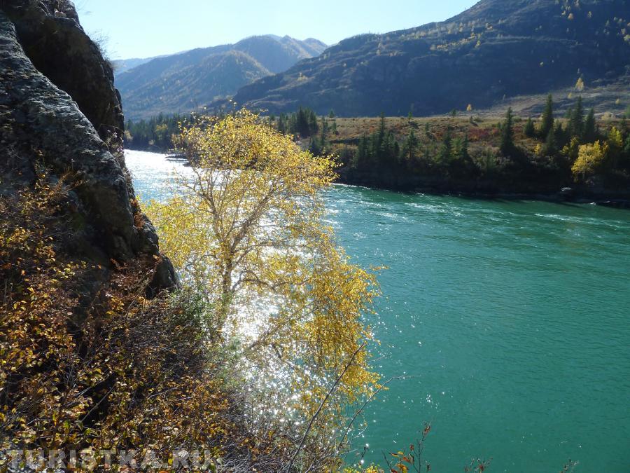 Катунь вблизи села Куюс, Алтай. 