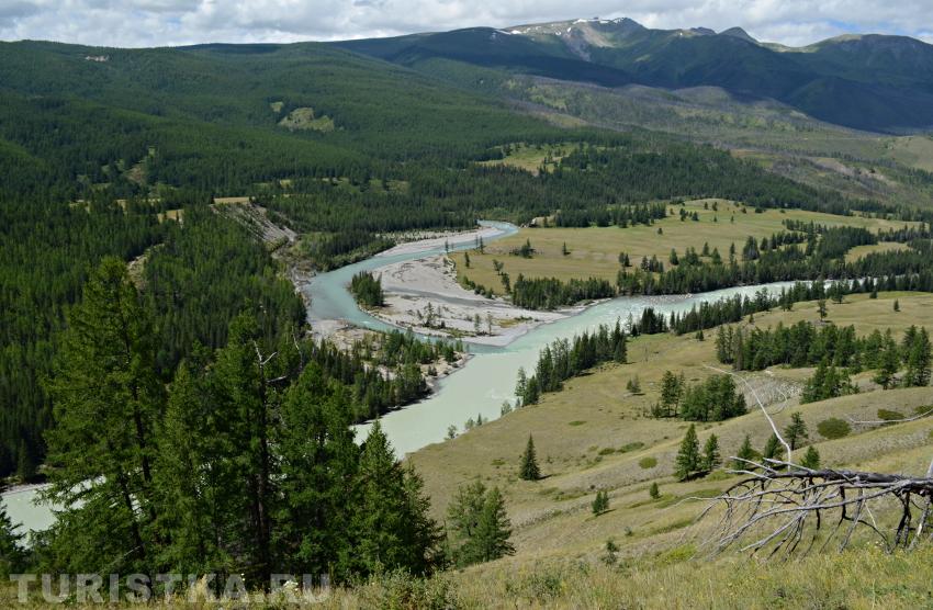 Слияние Аргута и Коксу