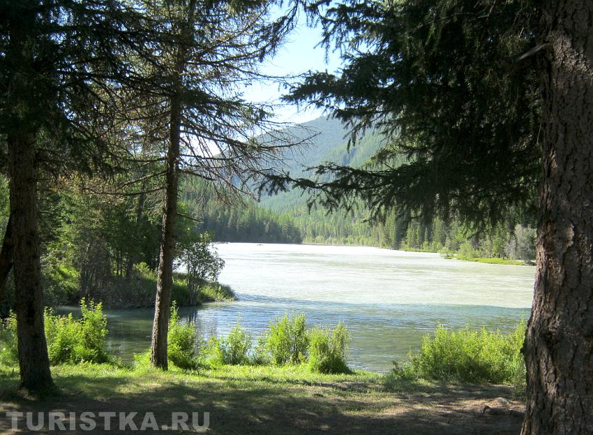 Берег Аргута