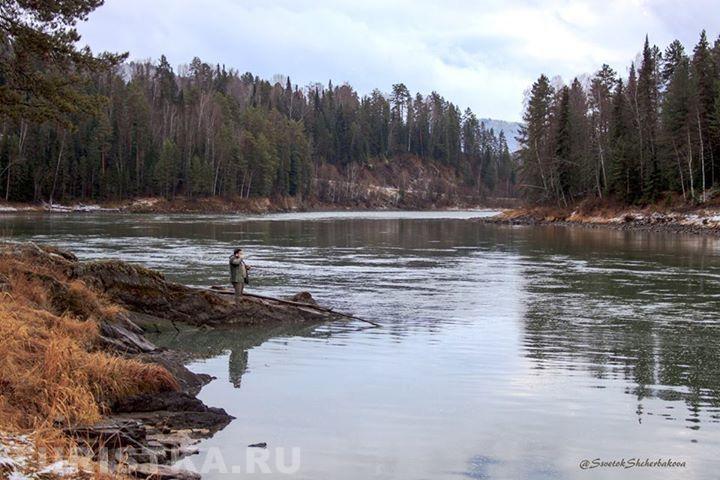 Река Бия 6 ноября 2017