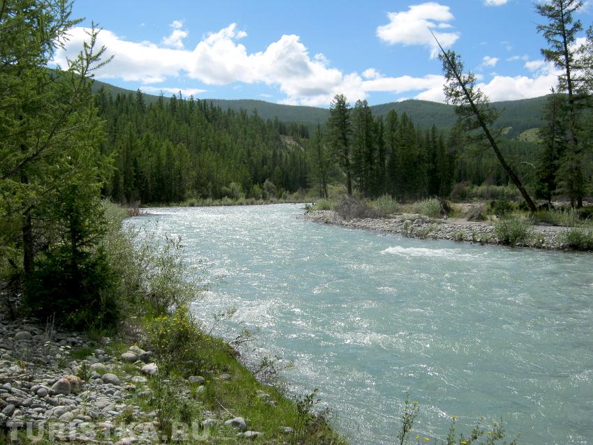 Река возле слияния с Аргутом