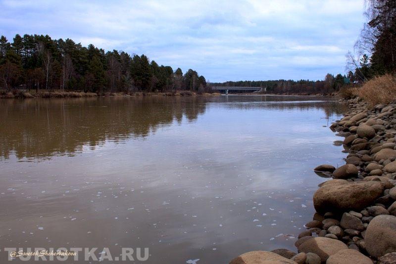 Река Лебедь
