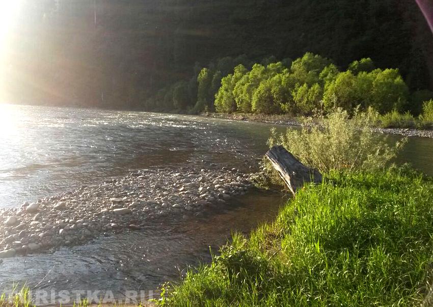 рыбалка на реке лебедь горный алтай