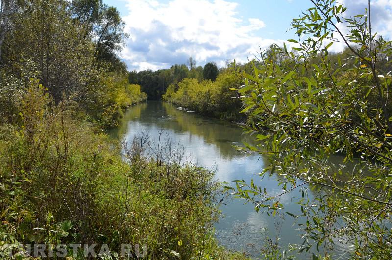 Река Лосиха на Алтае