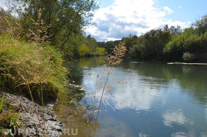Река Лосиха на Алтае