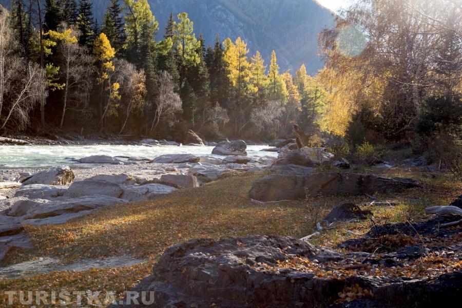 Река Чуя. Алтай. 