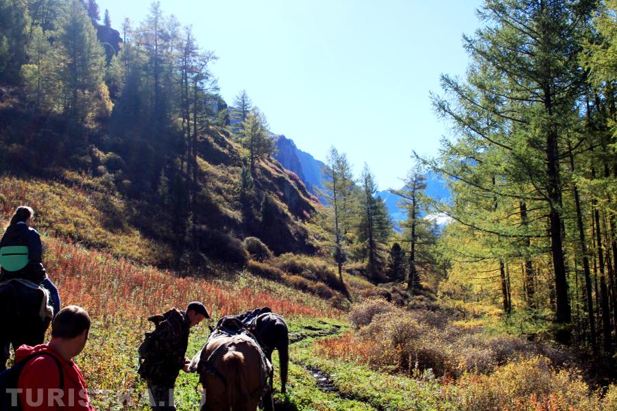 Тропа по долине реки Куйгук