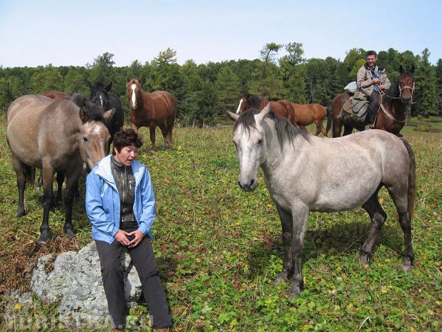 "Ой, кто мне спину лижет? " 