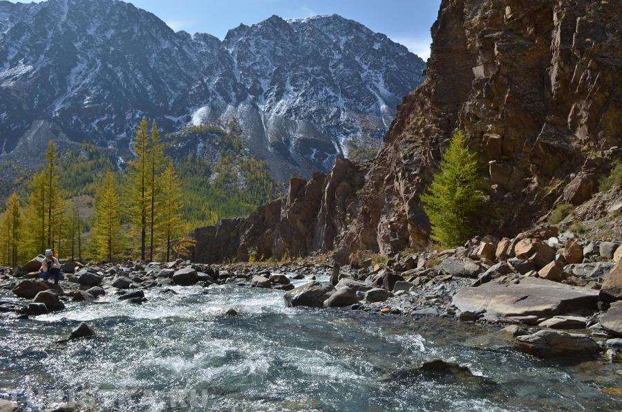 Река Джело у своего устья (впадает в Талдуру), Кош-Агачский район, Алтай
