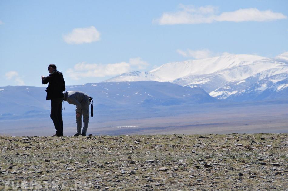 "Кентавр или как фотографы звереют от красоты Алтая" Фото Рухлинская Е.