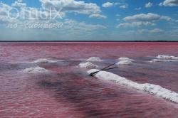 Фотоконкурс Любимая Сибирь : Бурлинское озеро в Алтайском крае