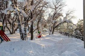 Снежная зима в Турочаке