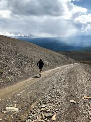 Горный Алтай : Первый экстремальный триатлон в России : Wild Siberia xtreme triathlon 2020 : Забег на Акташский ретранслятор