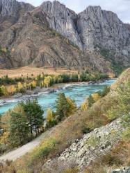 Фотоконкурс Золотая осень на Алтае 2022 . Автор: Шишкина Татьяна.