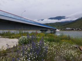 Горный Алтай : Усть-Коксинский район : Мост в Тюнгуре через Катунь