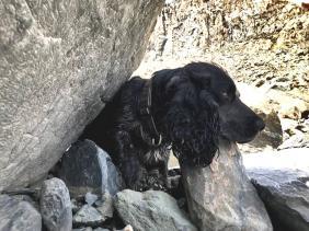 Туристка.Ру : Фотоконкурс СМЕХОТУРИКИ 2024 : Актру : «УсталЬ! Ходил пешком на большой Актру от перевалки!»