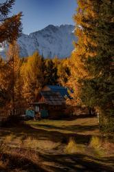 Алтай. По дороге на Актру 25.09.2025