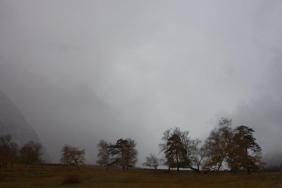 Фотоконкурс Золотая осень на Алтае 2022