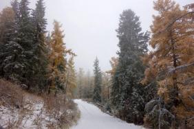 Фотоконкурс Золотая осень на Алтае 2022