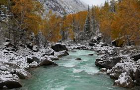 Фотоконкурс Золототая осень на Алтае 2018