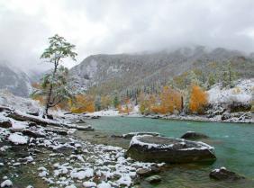 Фотоконкурс Золототая осень на Алтае 2018