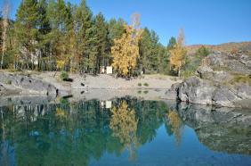 Фотоконкурс Золототая осень на Алтае 2018