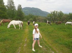 «Ой, вы кони, мои кони», п.Яйлю 10.06.2023г.