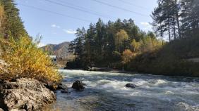 Река Чемал, устье у реки Катунь.