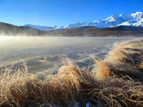 Фотоконкурс Золотая осень на Алтае 2022