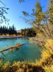 Фотоконкурс Золотая осень на Алтае 2022