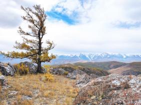 Фотоконкурс Золотая осень на Алтае 2021