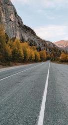 Фотоконкурс Золотая осень на Алтае 2021