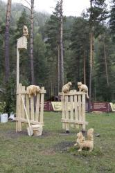 Фестиваль Алтай. Притяжение 2022