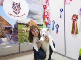 Туристическая выставка Алтайтур: Алтайкурорт