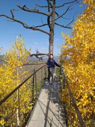 Фотоконкурс Золотая осень на Алтае 2020.Перевал Чике-Таман. Дата:09.2020