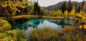 Фотоконкурс Золототая осень на Алтае 2018