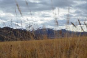 Фотоконкурс Золотая осень на Алтае 2020.Дорога на Бугузун. Кош-Агачский район. Дата: 19.09.2020