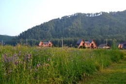 Горный Алтай : Фестиваль аюрведы : База Талда