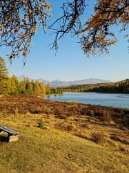 Фотоконкурс Золотая осень на Алтае 2022