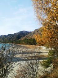 Фотоконкурс Золототая осень на Алтае 2018.  село  Узнезя.