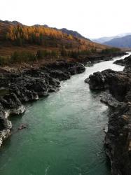 Фотоконкурс Золототая осень на Алтае 2018.  Ороктойский мост. 