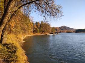 Фотоконкурс Золотая осень на Алтае 2021