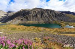 Фотовыставка  «Живая природа Алтая» (г. Барнаул)