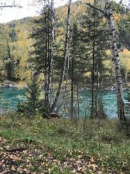 Фотоконкурс Золотая осень на Алтае 2021