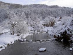 Зимний тур Горный Алтай : Река Узнезя 04 ноября 2017