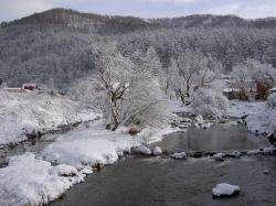 Зимний тур Горный Алтай : Река Узнезя 04 ноября 2017