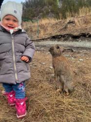 1. Когда вживую увидела год Зайца. Хорошо, что заяц, а не белочка..<br> С. Узнезя Лохматая ферма.